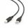Gembird Premium USB Kabel 1.8m AM-BM Crni
