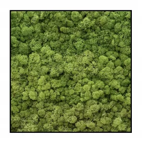  Presto Garden Hydrogel 1kg