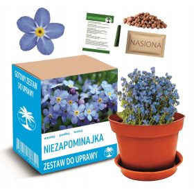  Set za uzgoj ukrasne biljke FORGET-MEET