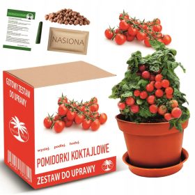 Zestaw za uzgoj Cherry paradajza