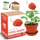ZESTAW ZA UZGOJ PAPRIKE HABANERO