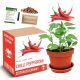 Set za uzgoj crvene chili paprike Pepperoni