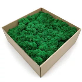 Ukrasna mahovina u kutiji od 500g, 35 x 35 cm