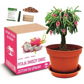 Zestaw za uzgoj sjemenki Pitaja Smoczy Owoc