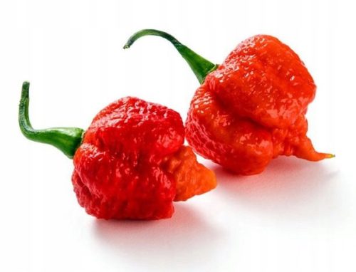 Najljuća Paprika Carolina Reaper Red HP22B - Sjemenke 50 kom