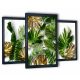 Tropski Monstera 3-dijelni slikarski set za dnevnu sobu 130x63