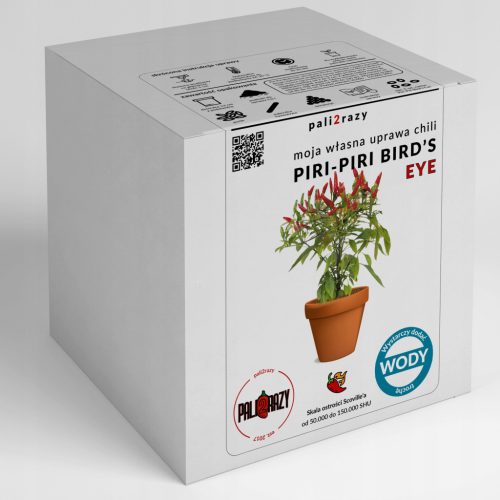 Piri Piri Bird's Eye čili - Komplet za uzgoj u XXL veličini