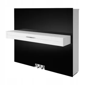 Petrof Next - Profesionalno Bijelo i Crno Klavir