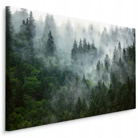 Slika za dnevni boravak Šuma u magli 3D PEJZAŽ 120x80