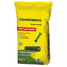  Barenbrug trava za renoviranje 250 m² 5 kg