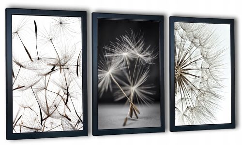  Set od 3 komada slika maslačka u okviru, 99x43cm