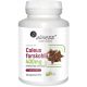 Coleus forskohlii 10% 400mg - 100 kapsula za potporu metabolizma i mršavljenja