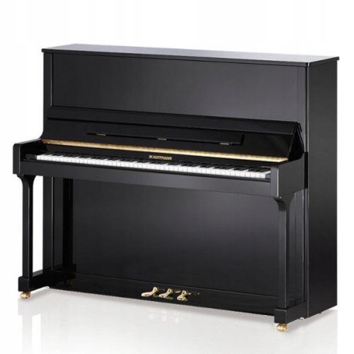 glazbeni instrument W. Hoffmann T 128 crni sjaj