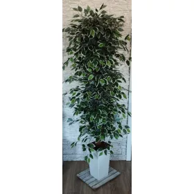 Umjetno drvo fikusa Benjamina 170 cm Dekoracija