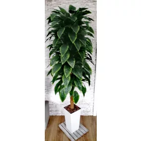 Umjetni fikus Drvo fikusa 175 cm! Lijep!