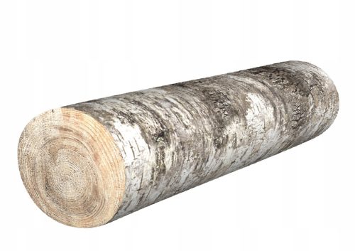 Ortopedski valjak Bertoni - Model Breza Ø16x55 cm