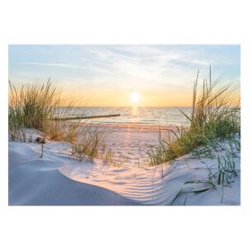 Foto tapeta ZA DNEVNI BORAVAK 3D Beach Sea Dunes 368x254