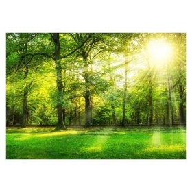 3D šumsko drveće pozadina 368x254 F00772