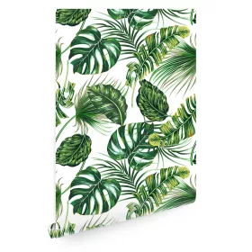 Monstera Palm Leaf Wallpaper