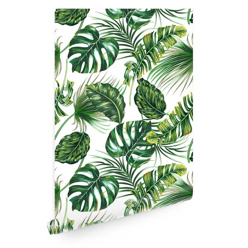 Monstera Palm Leaf Wallpaper