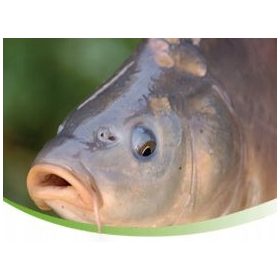  De Heus granulirana hrana za šarana 25 kg