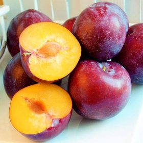    Šljiva RENKLODA ALTHANA, sadnica s golim korijenom, 130-150 cm