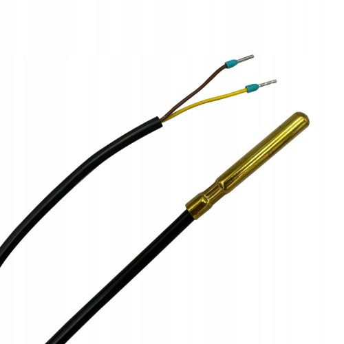 SENZOR TEMPERATURE ŠLJIVE CT-4 4m PLUM - ECOMAX
