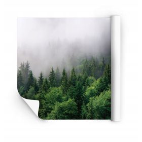   3D IZRADA fototapete po mjeri za dnevnu sobu, spavaću sobu, TAPETE