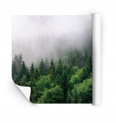 3D IZRADA fototapete po mjeri za dnevnu sobu, spavaću sobu, TAPETE
