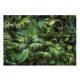 Zidna slika DARK JUNGLE Tropska šuma 368x254