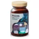 ShroomMe Lion's Mane & Chaga: Napredni dodatak prehrani za energiju i koncentraciju