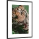 Okvir za jednu fotografiju Fabryka Ramek 25 x 38 cm
