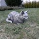  Cat Kitten Garden Figurines Figurice mačaka za vrt