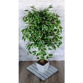 Umjetno stablo Ficus Benjamina, 100 cm, cvijet