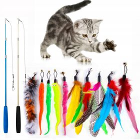 Mačka lovi miša štapom s perjem i igračkom