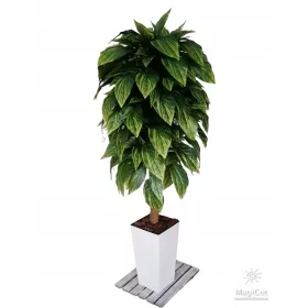 Fikus, umjetni fikus, 140 cm, bijela, crna saksija