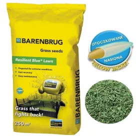    Ukrasna trava, mješavina trava, vrt, renoviranje, sport Barenbrug 50 m² 5 kg