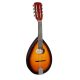 MSA klasična gitara s setom za mandolinu i kockicama