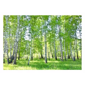 Zidni mural BREZE ŠUMA 3D Priroda 416x254