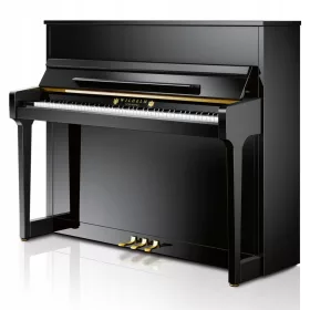   Wilhelm Schimmel W118 Tradicionalni akustični klavir crnog sjaja