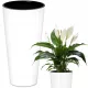  Deco4Home saksija 25 cm x 25 x 48 cm, bijela plastika
