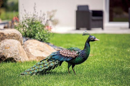  Metalna figurica od metalnog pauna za ukras vrta