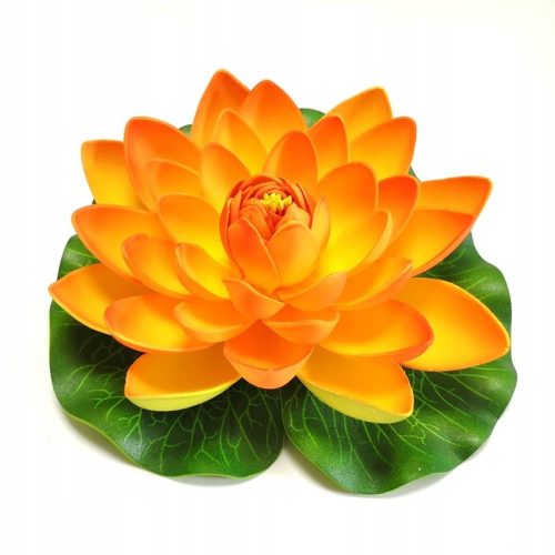  Deep Aqua Lily for Pond, narančasta, 28 cm
