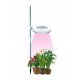GROW lampa za uzgoj biljaka Sunmag 20 W