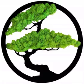   Zidna dekoracija Drvo Života Bonsai Mahovina Chrobotek 50 cm
