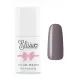 Elisium Cold Brown Hybrid Nail Polish 067