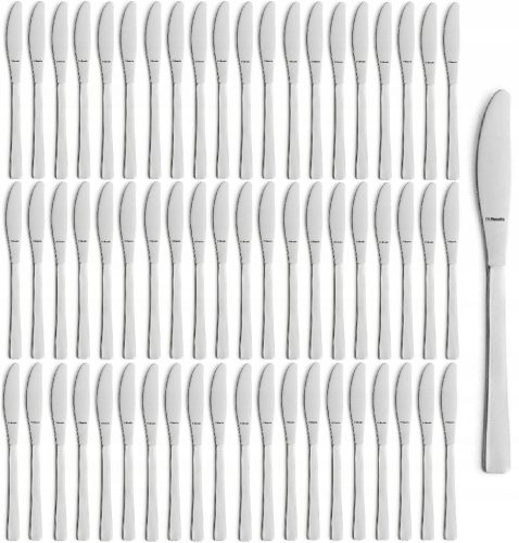 Noževi za jelo AMEFA PADOVA, INOX, BEZ NIKLA, Set od 60 komada