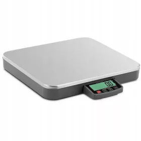   PLATFORMSKA VAGA ZA PAKIRANJE - Steinberg Systems SBS-PT-100SK