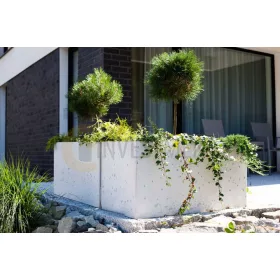  SLABB posuda za cvijeće 100 cm x 50 x 50 cm beton