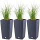  Prosperplast saksija 20 cm x 20 x 37,6 cm, grafitna plastika